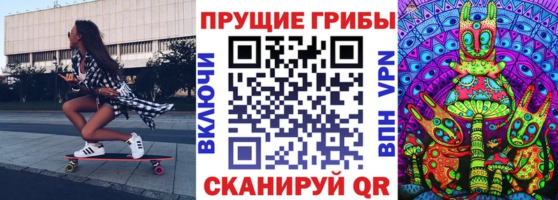 мега ссылка  купить закладку  Невель  Галлюциногенные грибы мицелий 